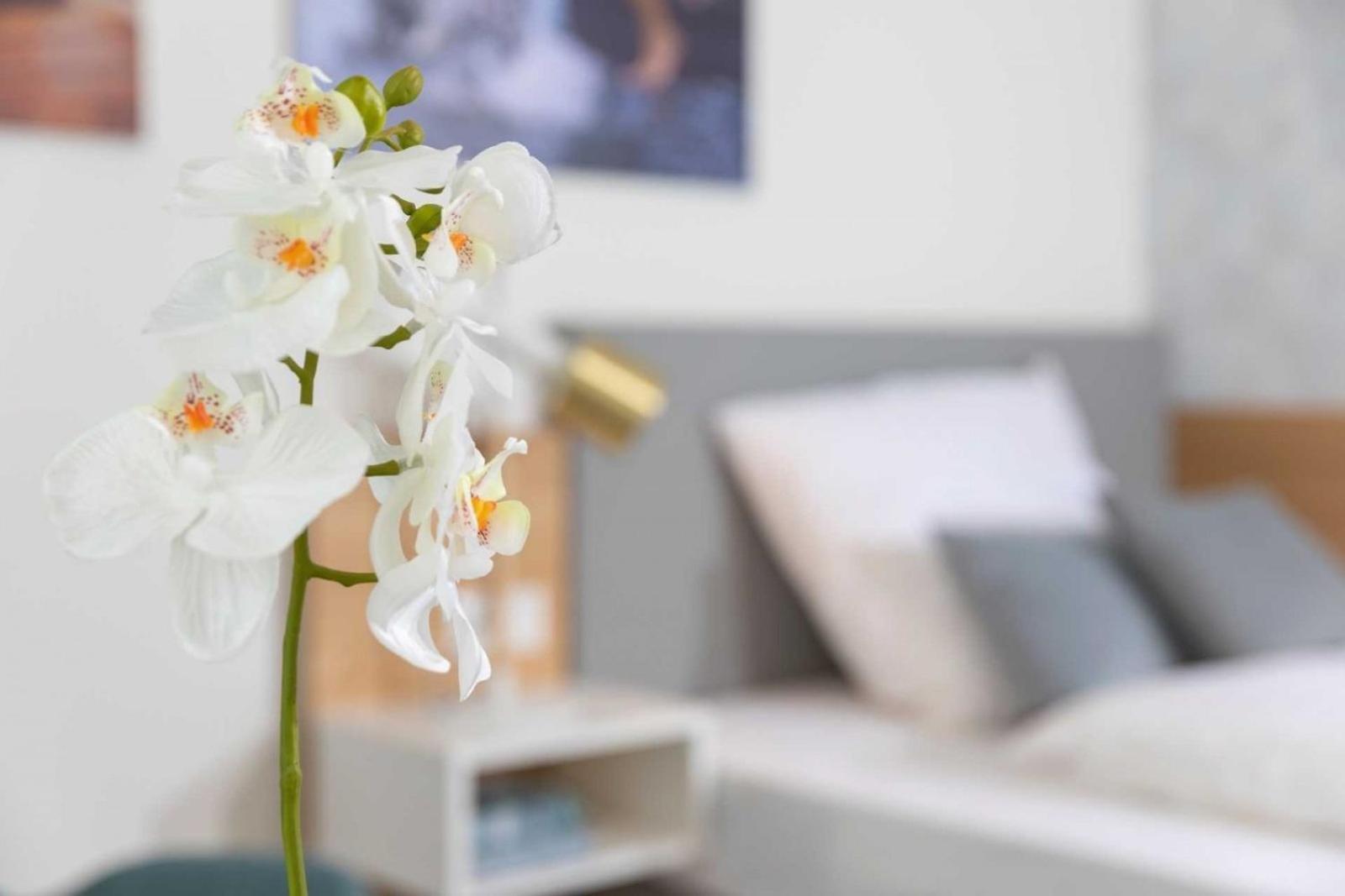Nino Boardinghouse Auszeit - Nordhorn Apartamento Exterior foto